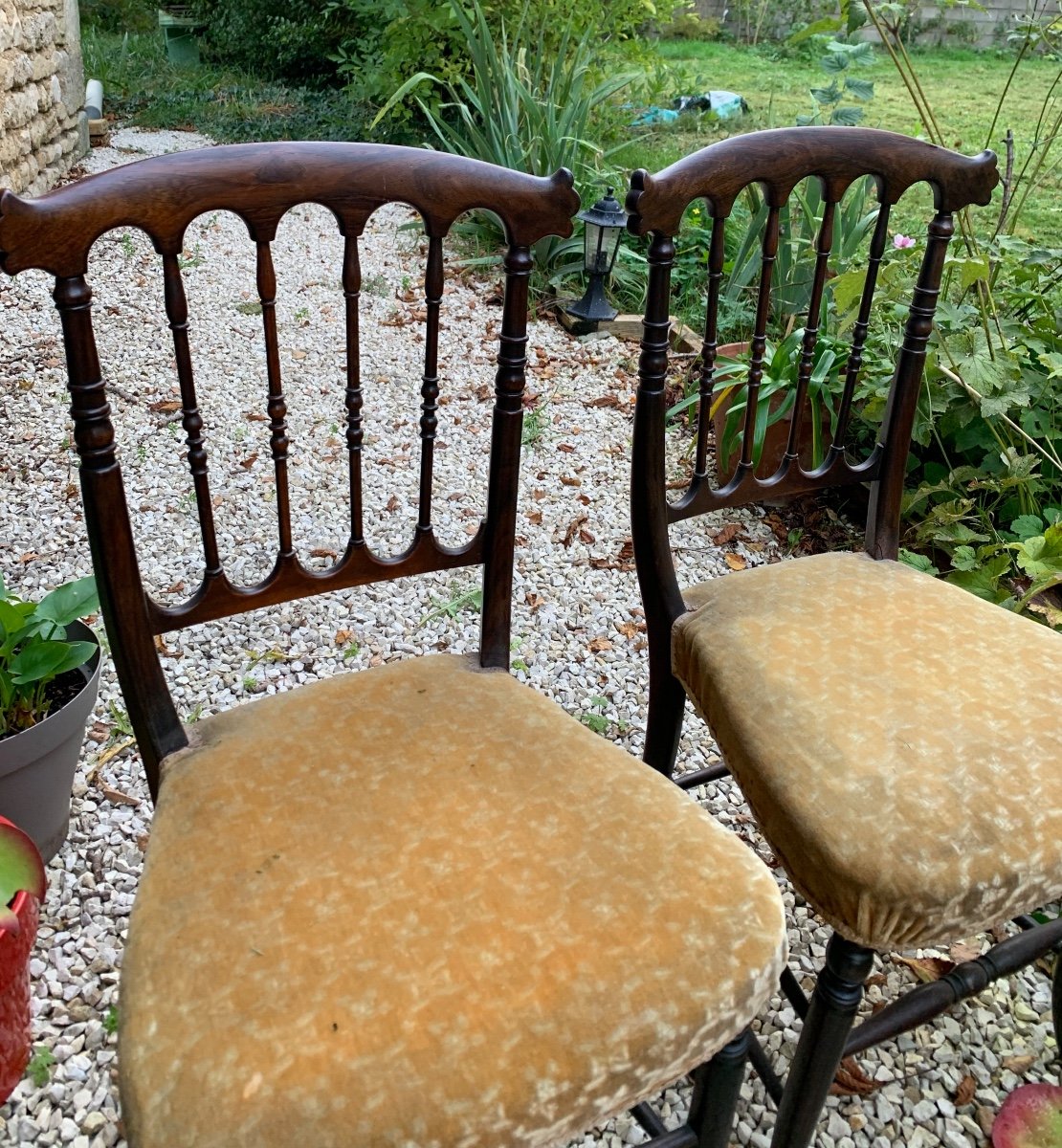 The Pair Of Small English Rosewood Chairs -photo-5