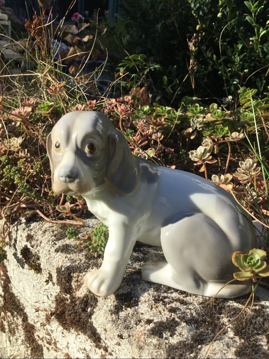 Small Dlg Polychrome Porcelain Dog From Royal Copenhagen.-photo-3