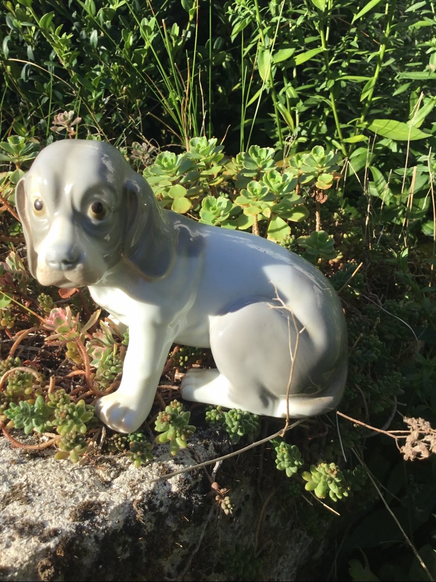 Small Dlg Polychrome Porcelain Dog From Royal Copenhagen.-photo-2