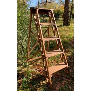 Oak Library Or Workshop Stepladder