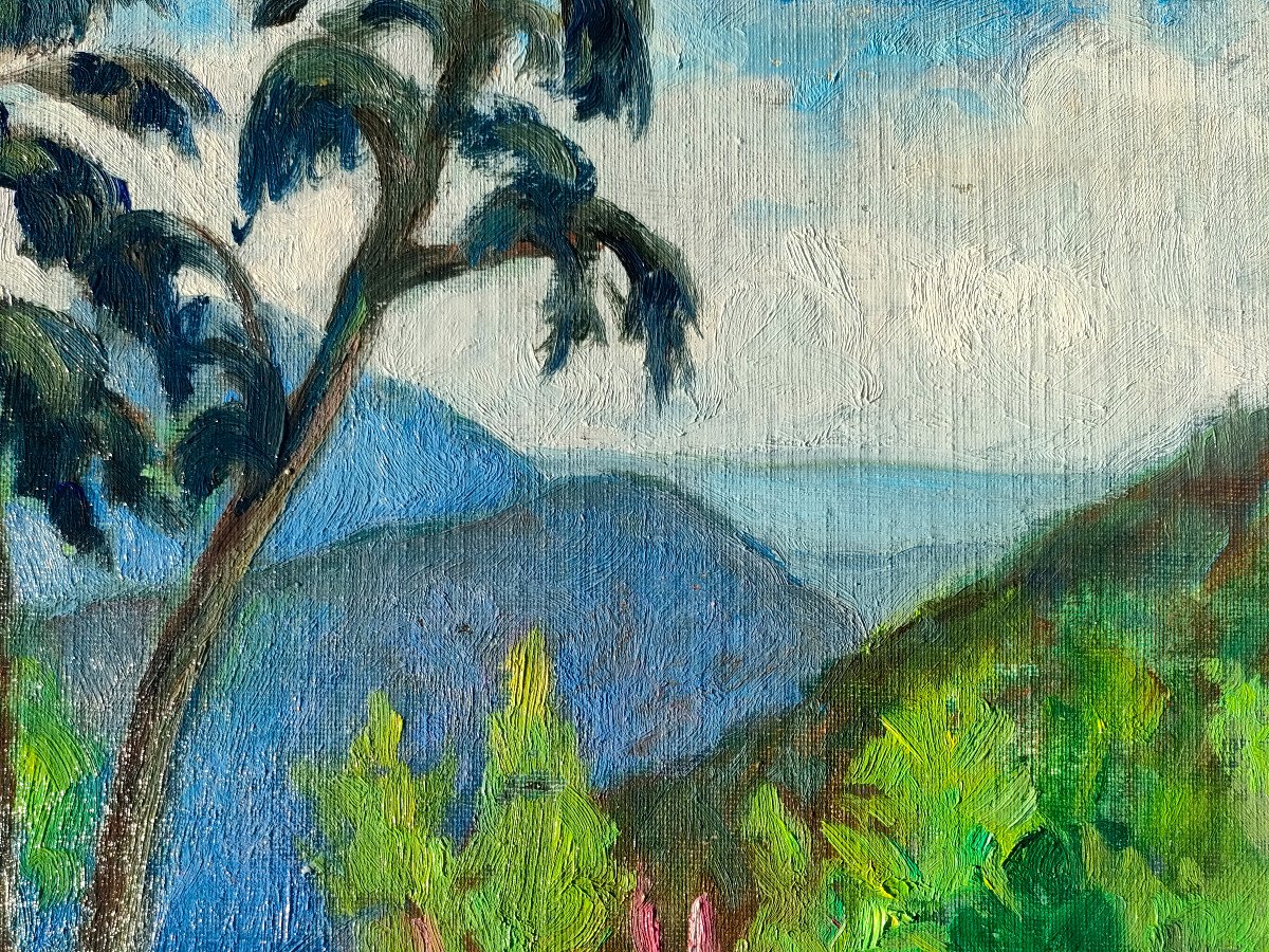 Ecole Française XXème, Paysage exotique, Huile Sur Carton, Années 50-photo-1