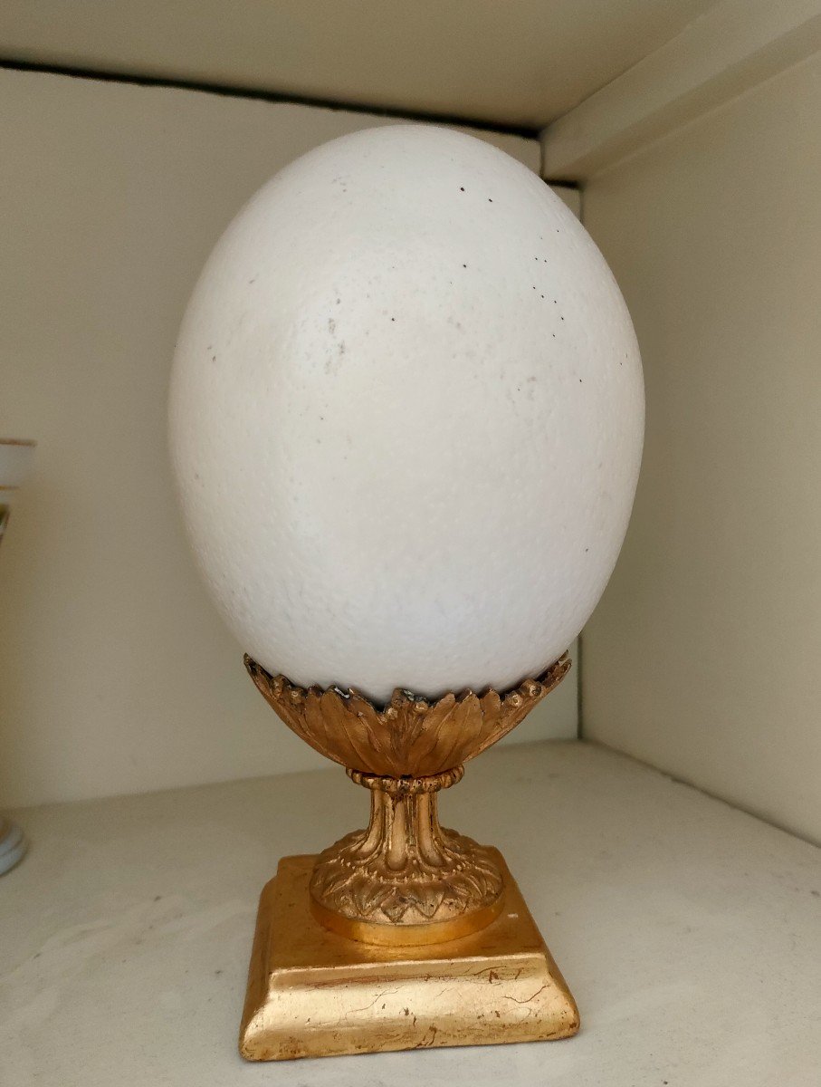 Ostrich Egg Mounted On Pedestal In Gilt Bronze And Gilded Wood-photo-1