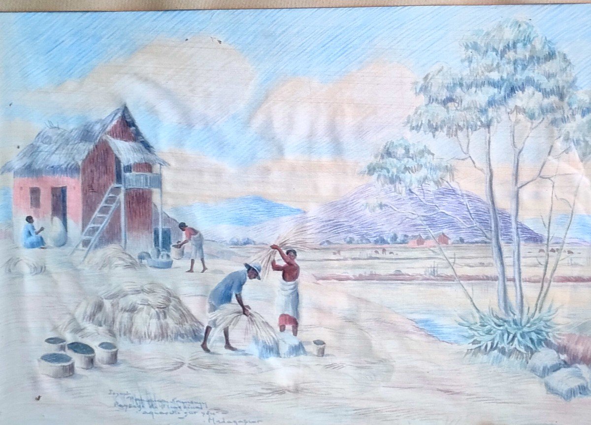 20th Century Malagasy School, The Harvest, Watercolor On Paper Signed, Located, Framed