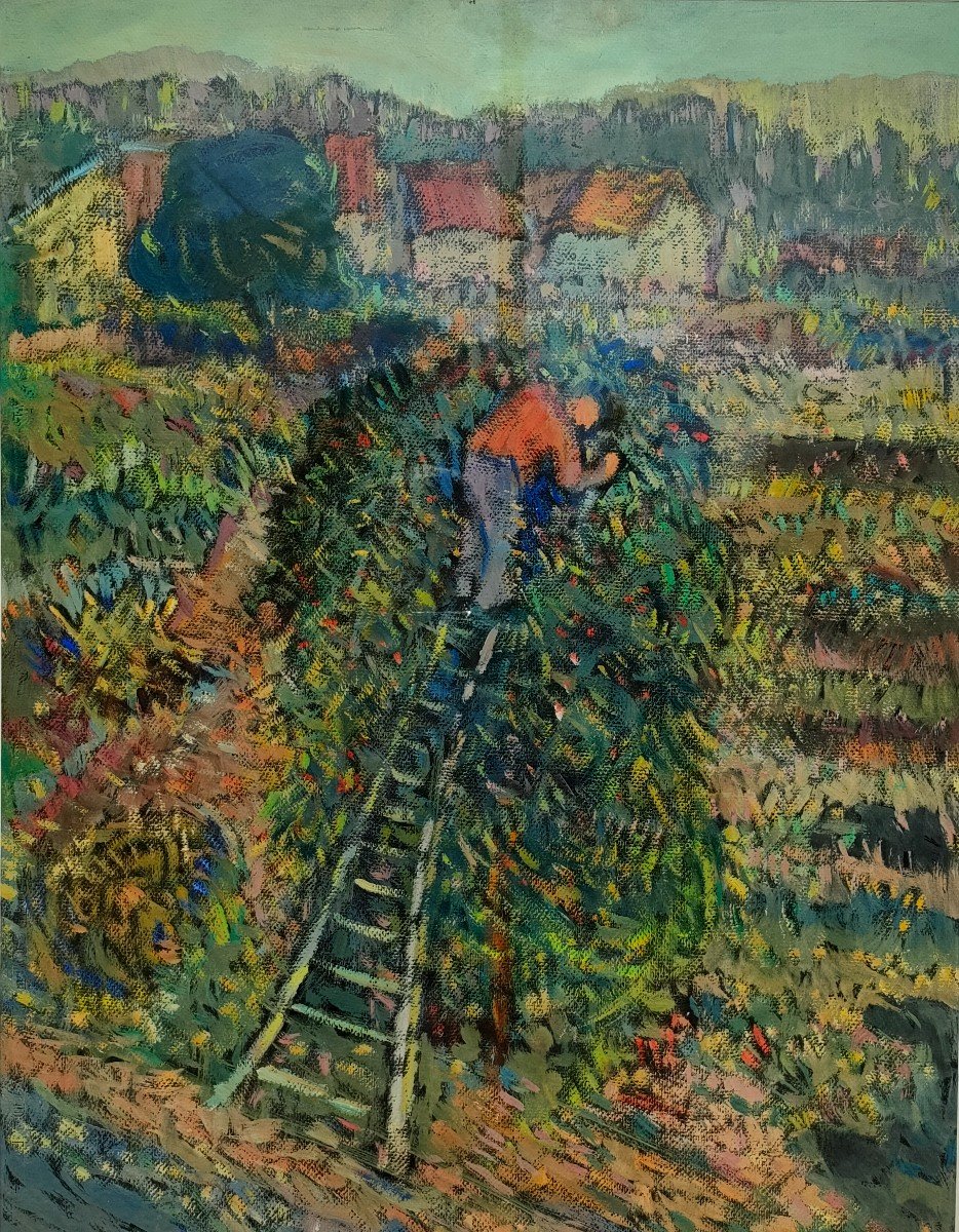 R. Rosso (1924-1987) Cherry Picking, Pastel On Paper, Signed, Framed, 1960s