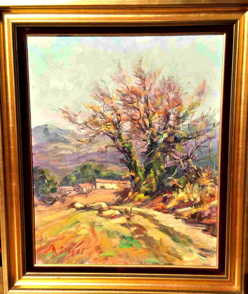 A. Sieyes (1914-1999), The Almond Tree In Provence, Oil On Panel Signed, Framed-photo-2