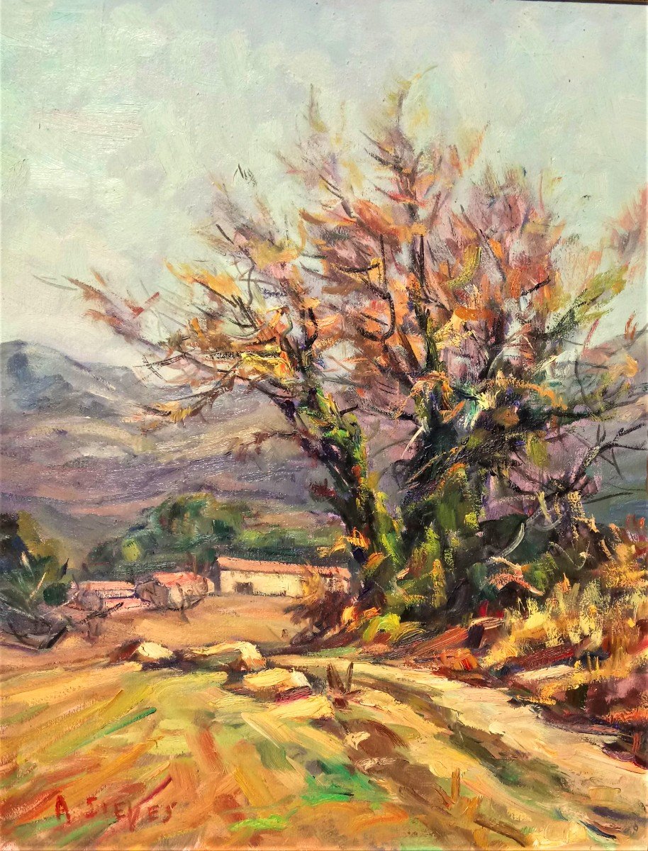 A. Sieyes (1914-1999), The Almond Tree In Provence, Oil On Panel Signed, Framed