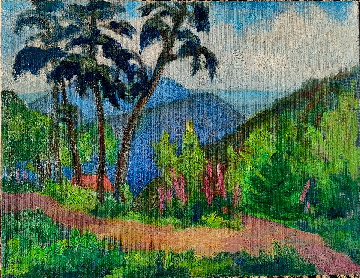 Ecole Française XXème, Paysage Exotique, Huile Sur Carton 