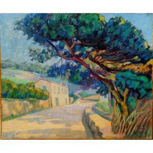 Ecole Provençale XXème, (carel ?), La Route Sous Les Pins, Huile Sur Toile Signée, Vers 1950