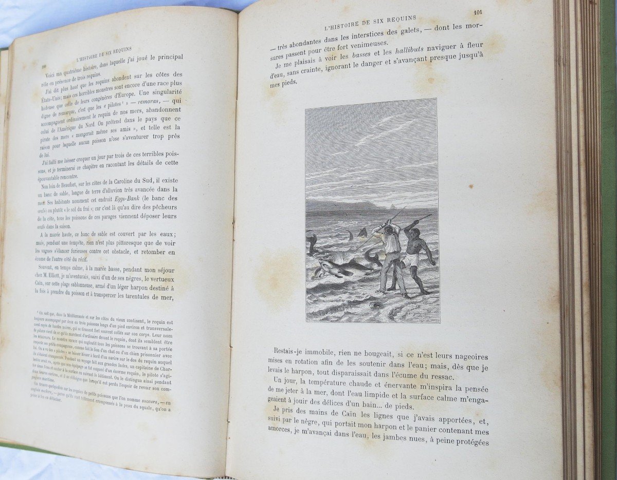 Pêches dans l'Amérique du Nord / par Bénédict-Henry Révoil.  Ill Yan d'Argent. 1887-photo-2