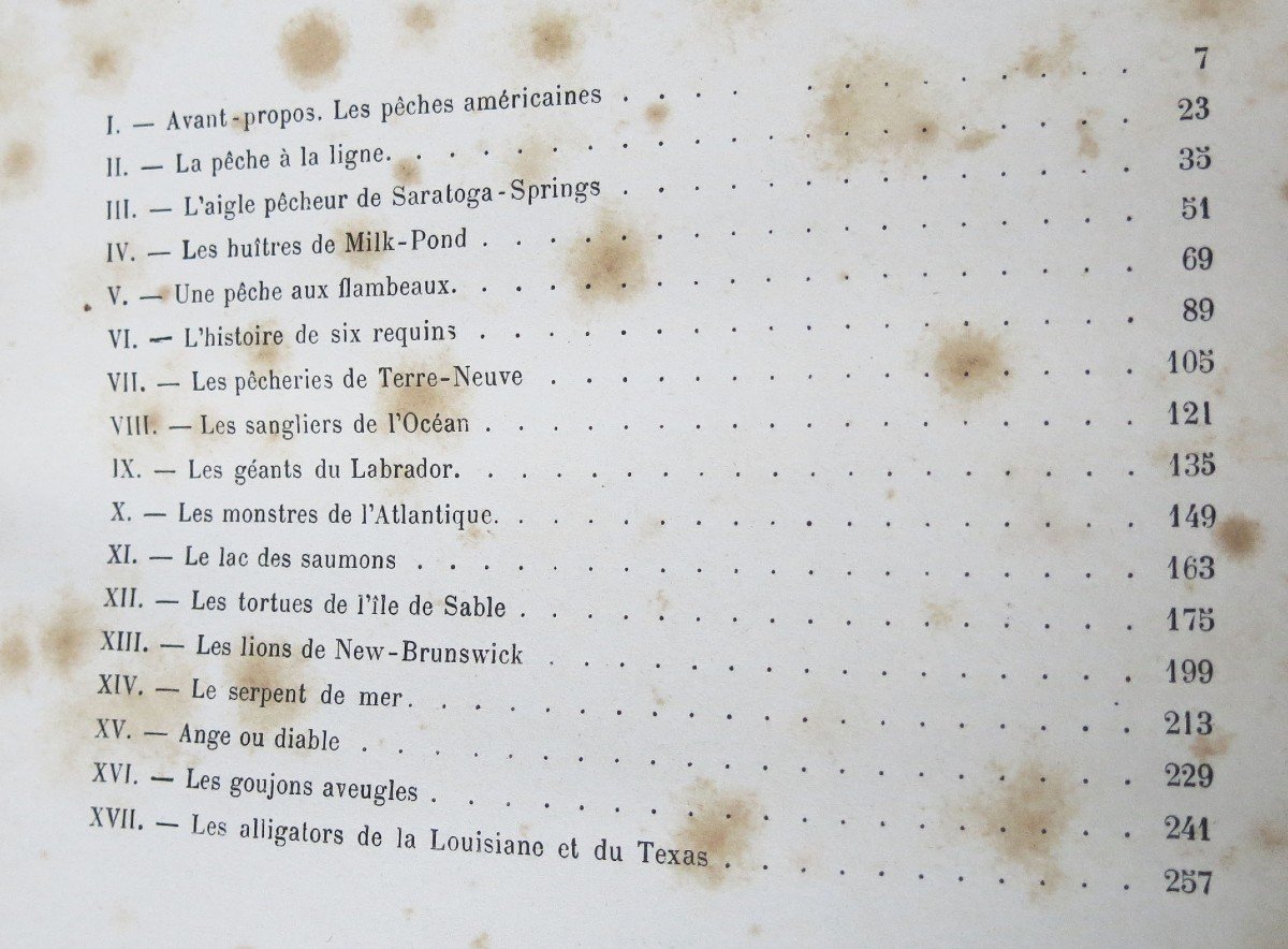 Pêches dans l'Amérique du Nord / par Bénédict-Henry Révoil.  Ill Yan d'Argent. 1887-photo-4