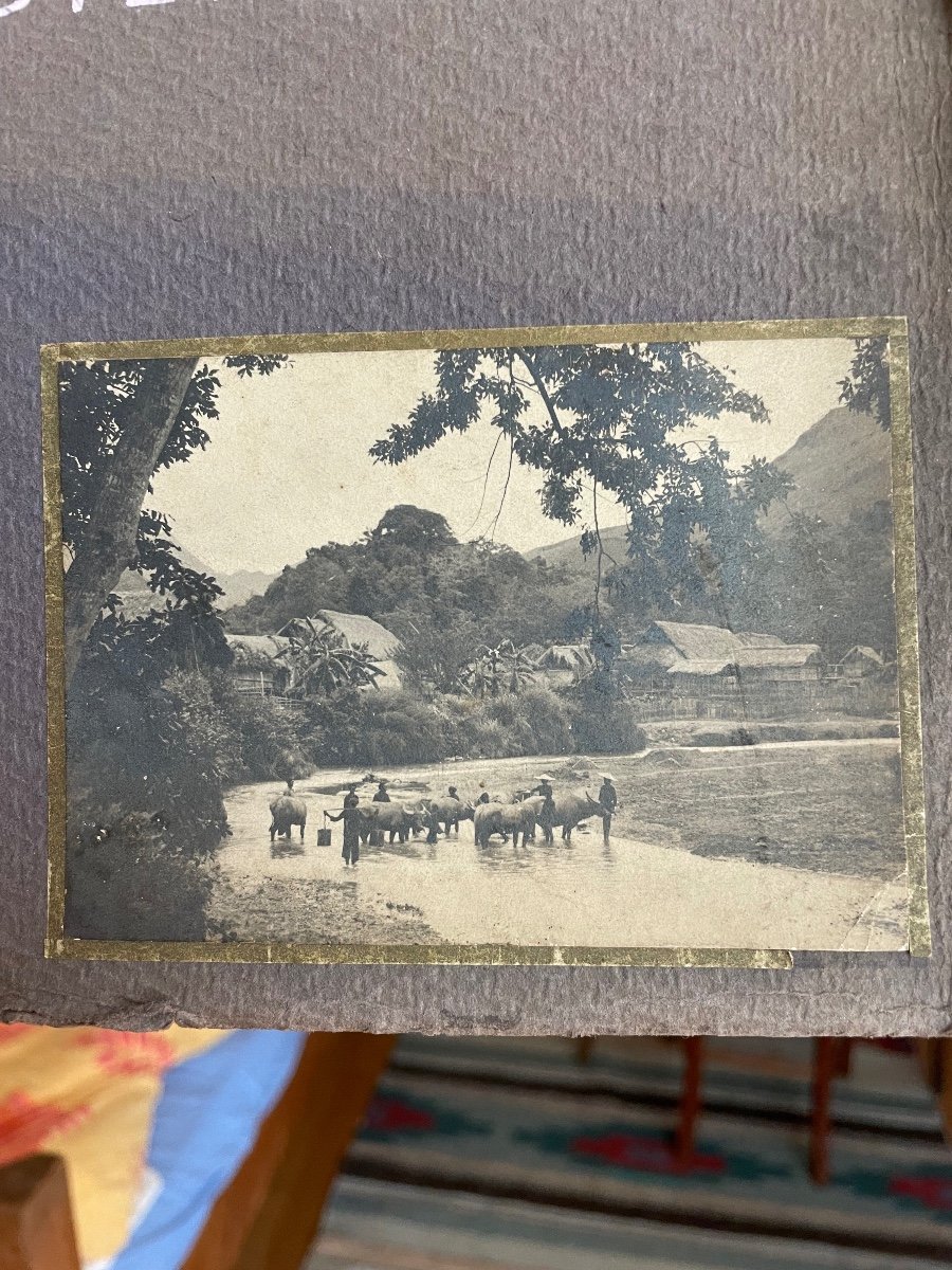 Buffaloes At The Pakha River - Mai Thu - Oil On Canvas, Signed And Dated - Vietnam - Indochina-photo-2