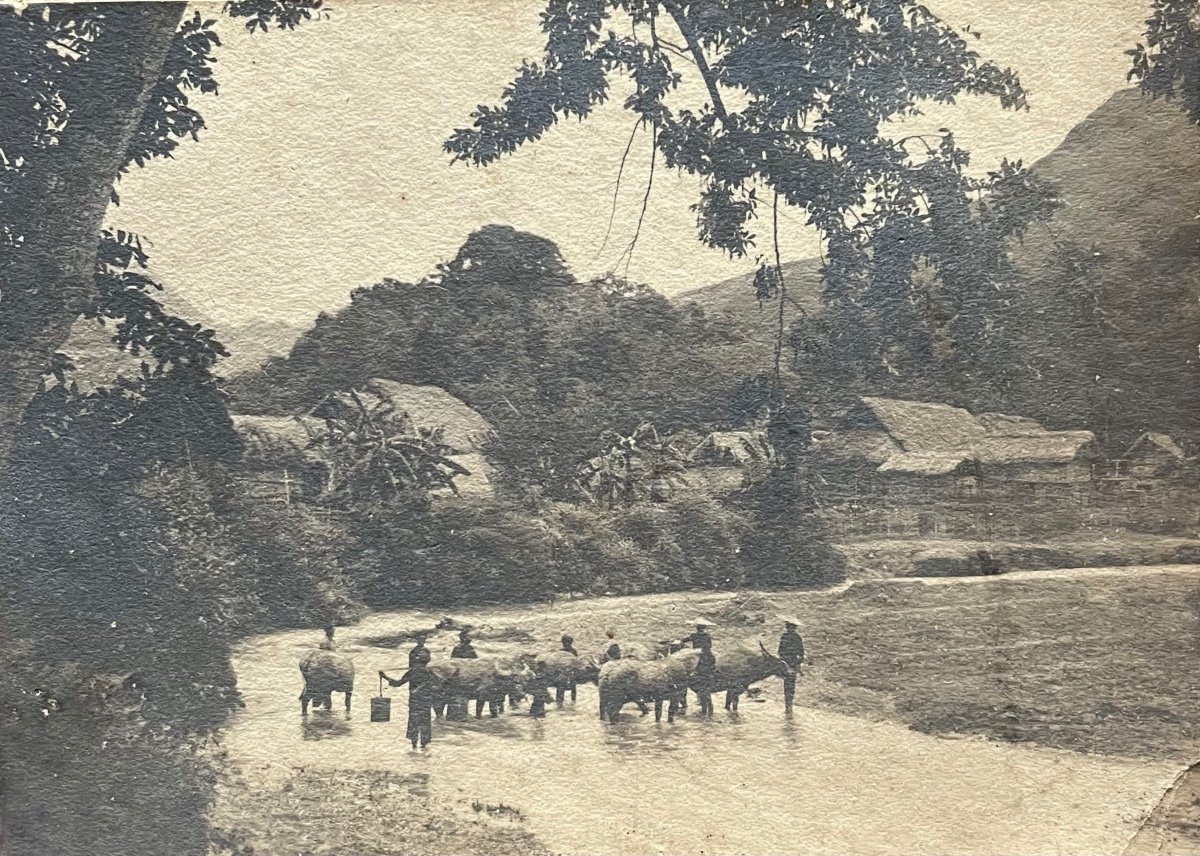 Buffaloes At The Pakha River - Mai Thu - Oil On Canvas, Signed And Dated - Vietnam - Indochina-photo-3