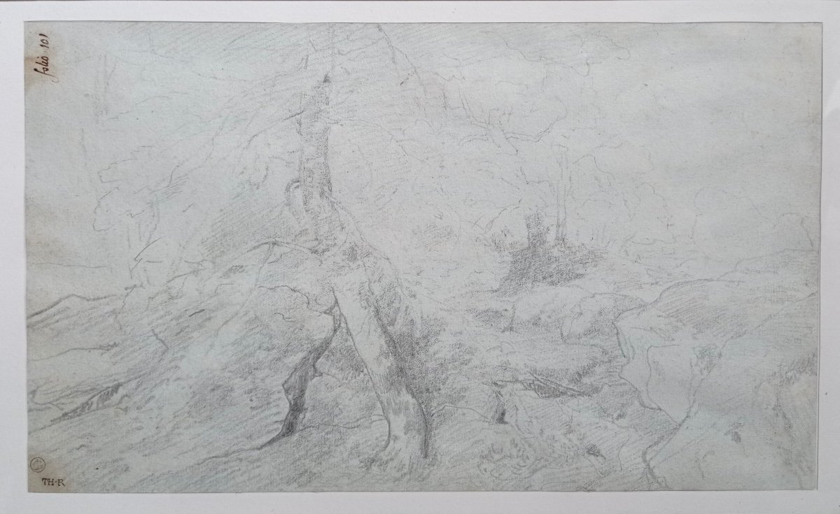 Théodore Rousseau (1812-1867), Rochers En Forêt De Barbizon. Dessin à La Mine De Plomb.-photo-1