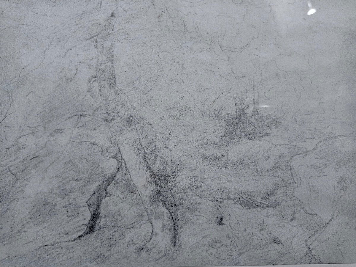 Théodore Rousseau (1812-1867), Rochers En Forêt De Barbizon. Dessin à La Mine De Plomb.-photo-2