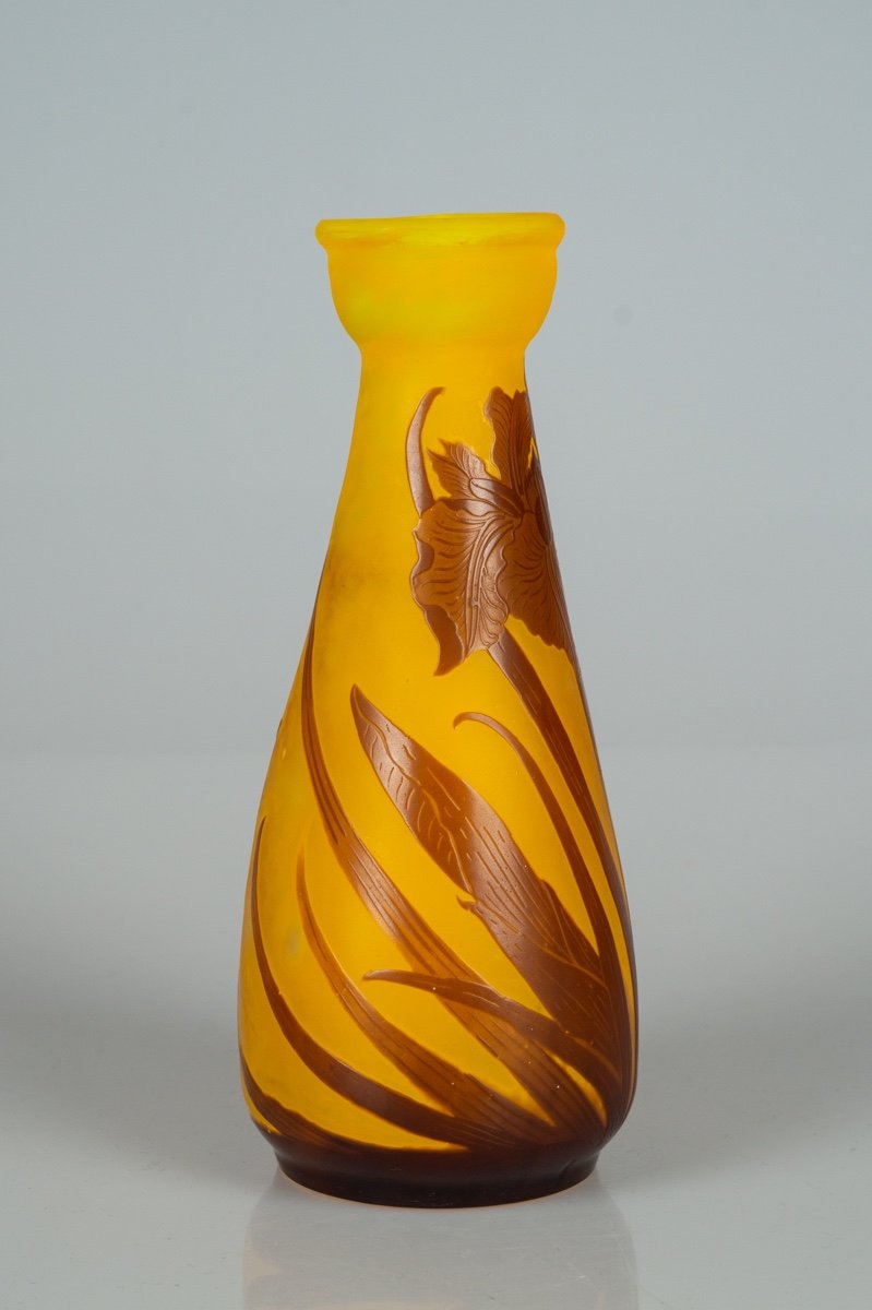 Irises Vase, Emile Gallé, Art Nouveau, Nancy, Early 20th Century.-photo-2