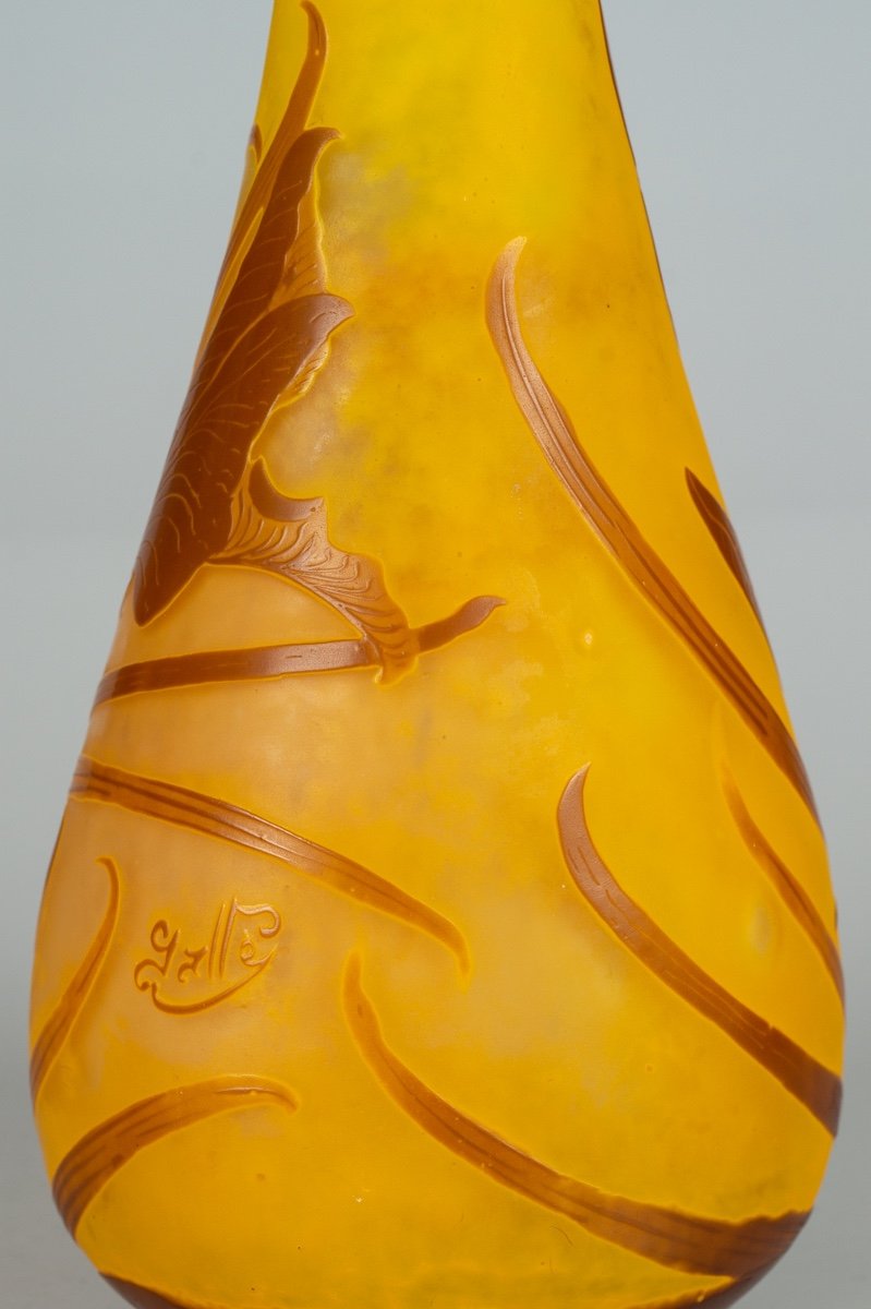 Irises Vase, Emile Gallé, Art Nouveau, Nancy, Early 20th Century.-photo-2