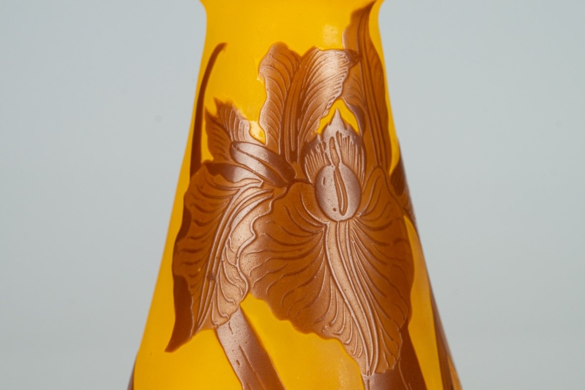 Irises Vase, Emile Gallé, Art Nouveau, Nancy, Early 20th Century.-photo-3