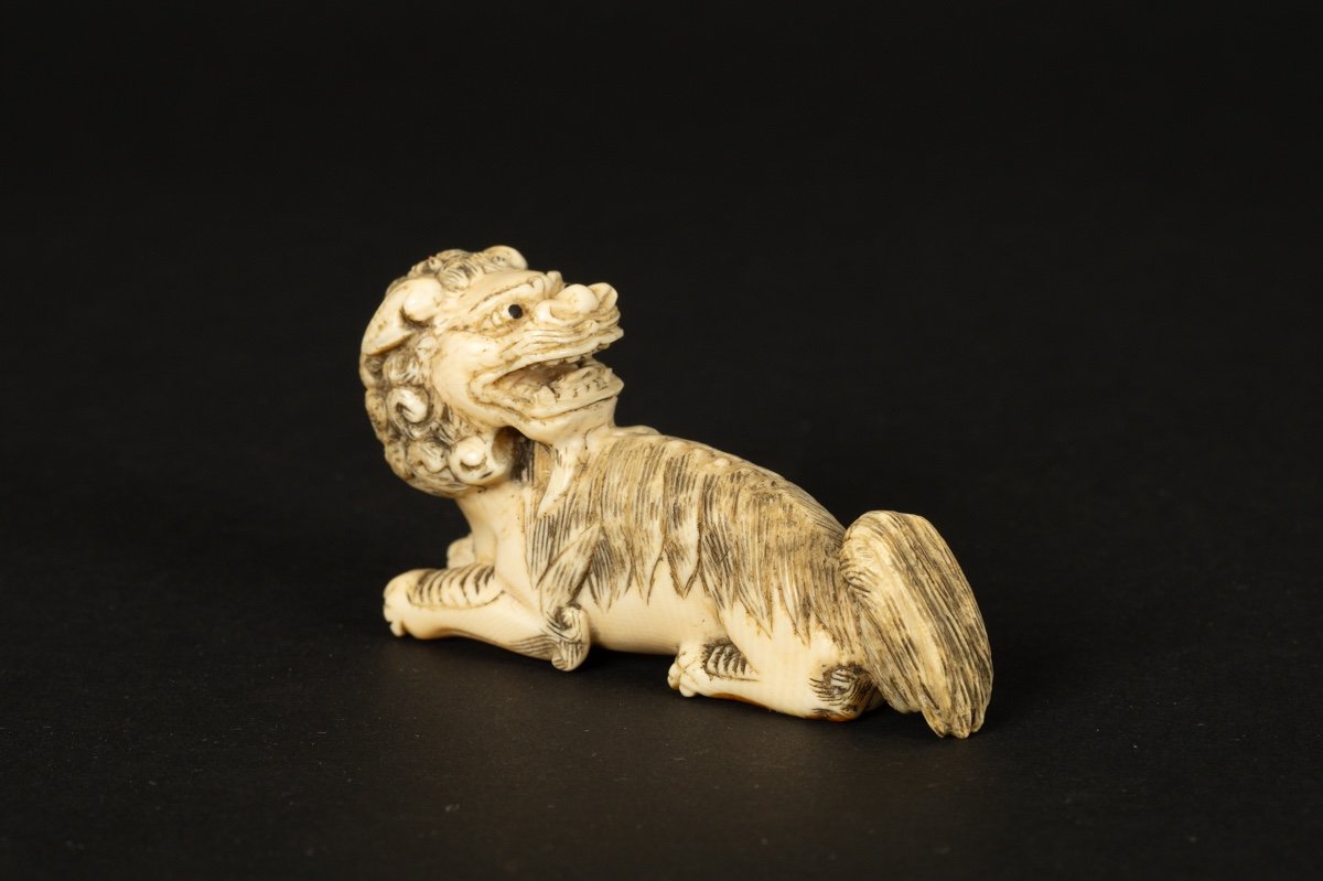 Okimono - Foo Dog (fo, Fu), Ivory, China, 19th Century.-photo-2