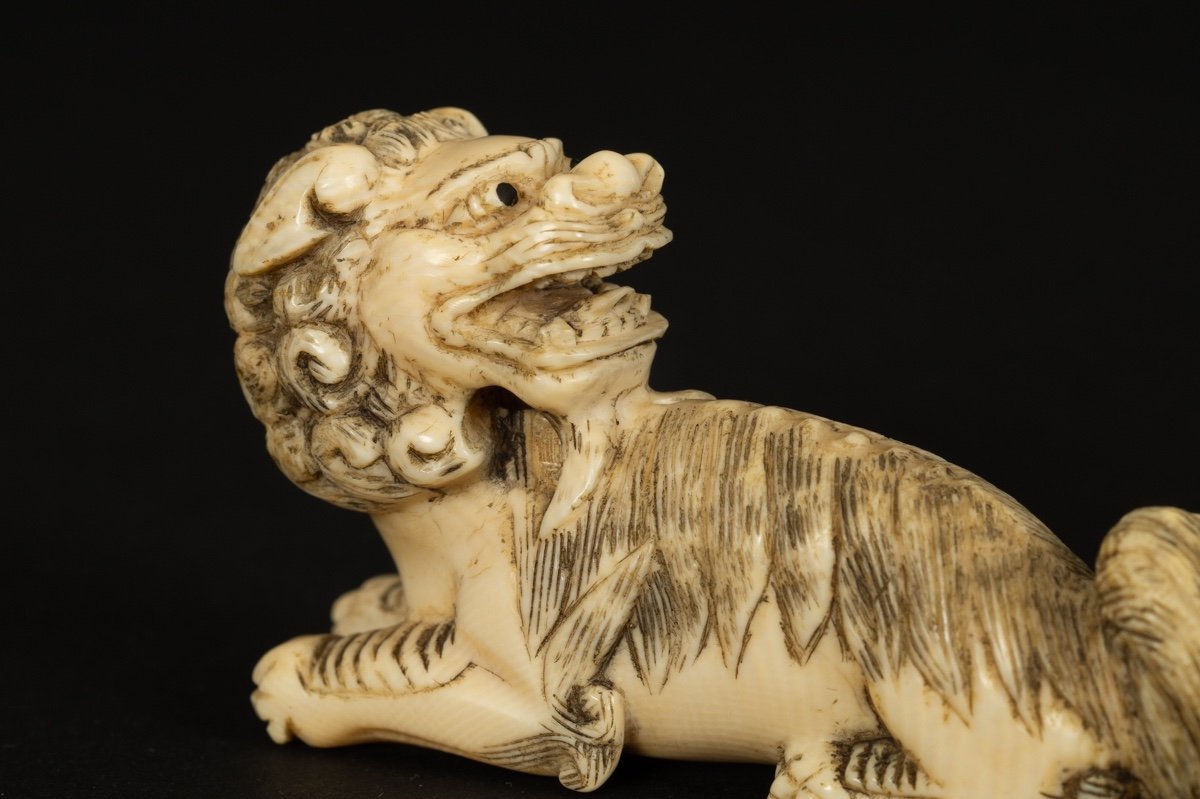 Okimono - Foo Dog (fo, Fu), Ivory, China, 19th Century.-photo-4