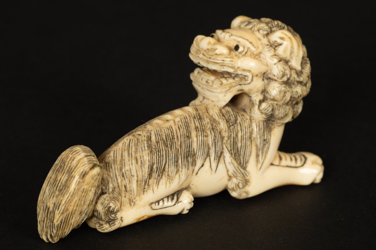 Okimono - Foo Dog (fo, Fu), Ivory, China, 19th Century.-photo-6