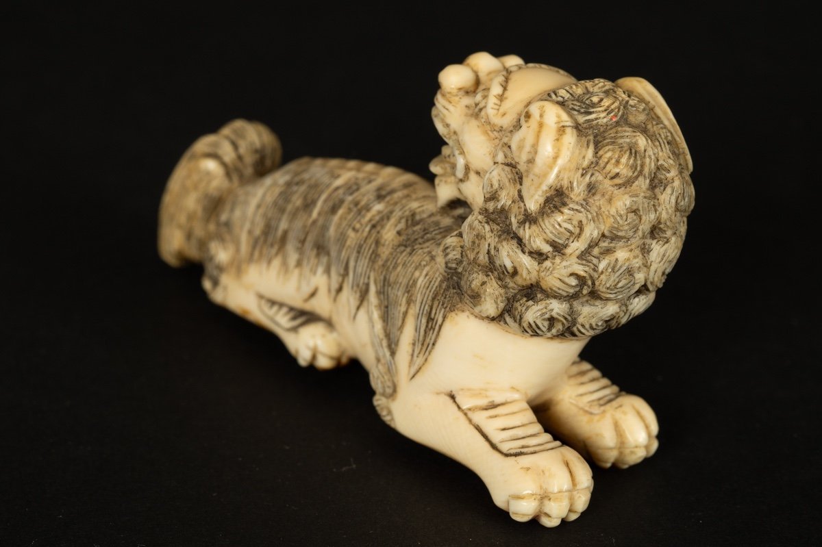 Okimono - Foo Dog (fo, Fu), Ivory, China, 19th Century.-photo-7