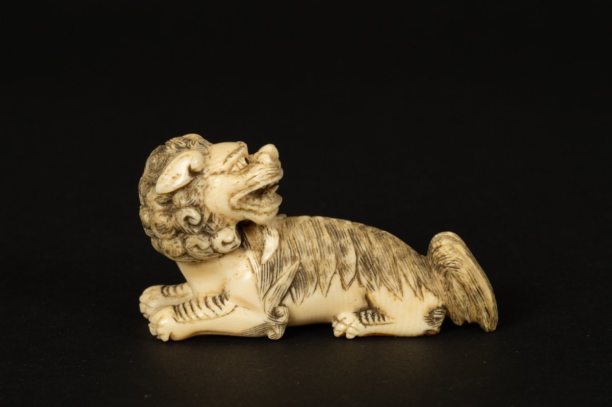 Okimono - Foo Dog (fo, Fu), Ivory, China, 19th Century.