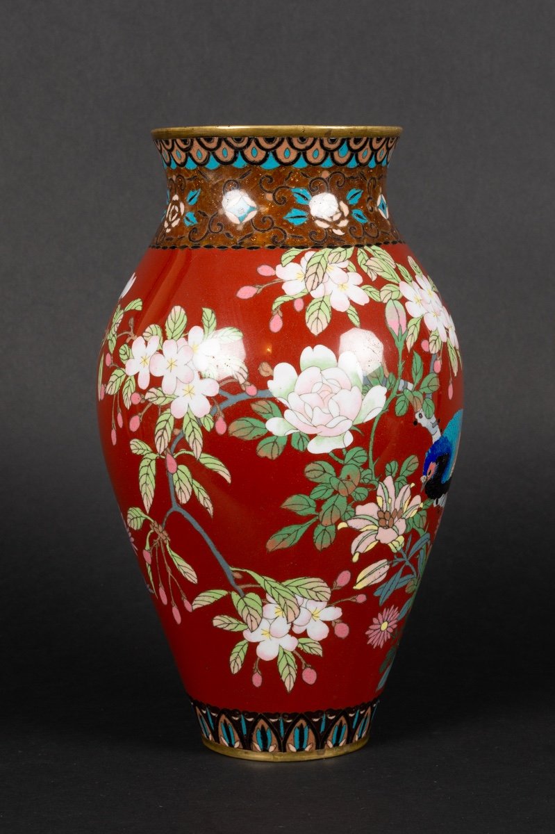 Vase à Faisan, Cloisonné, Japon, ère Meiji (1868-1912). -photo-2