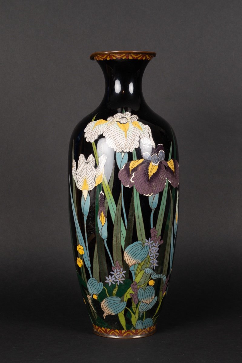 Vase Avec Iris, Cloisonné, Japon, ère Meiji (1868-1912).