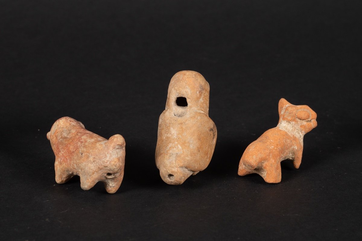 Sifflets - Cinq Animaux, Culture Chorrera (1300 - 300 Av. J.-c.), équateur, Céramique Précolomb-photo-2