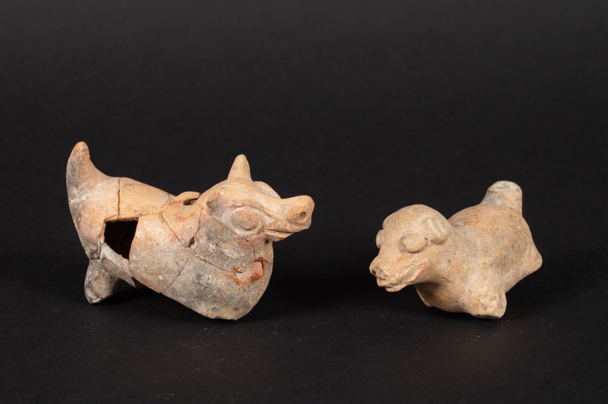 Sifflets - Cinq Animaux, Culture Chorrera (1300 - 300 Av. J.-c.), équateur, Céramique Précolomb-photo-4