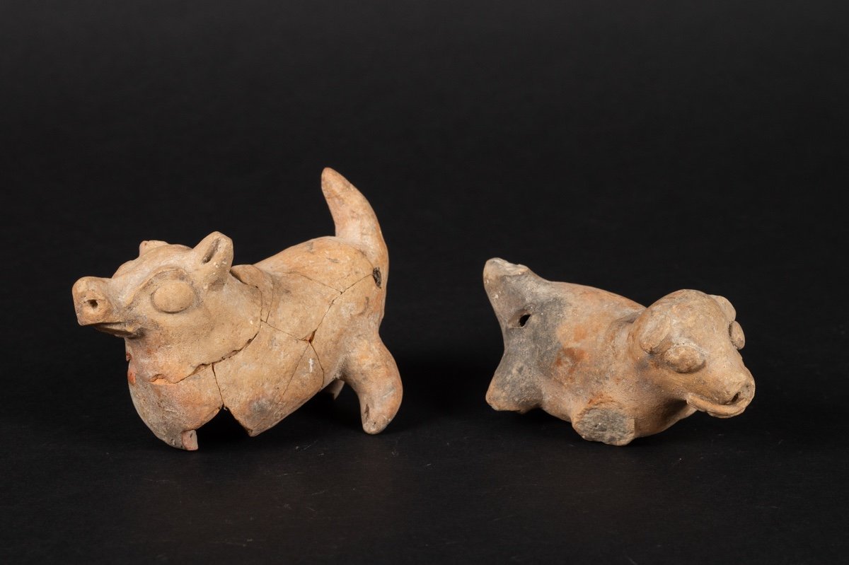 Sifflets - Cinq Animaux, Culture Chorrera (1300 - 300 Av. J.-c.), équateur, Céramique Précolomb-photo-5