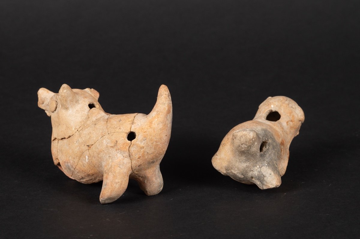 Sifflets - Cinq Animaux, Culture Chorrera (1300 - 300 Av. J.-c.), équateur, Céramique Précolomb-photo-6