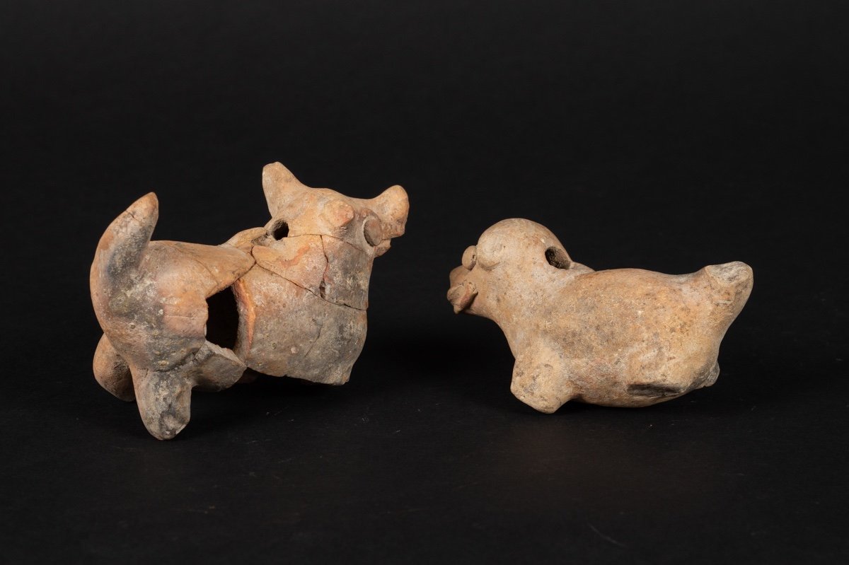 Sifflets - Cinq Animaux, Culture Chorrera (1300 - 300 Av. J.-c.), équateur, Céramique Précolomb-photo-7