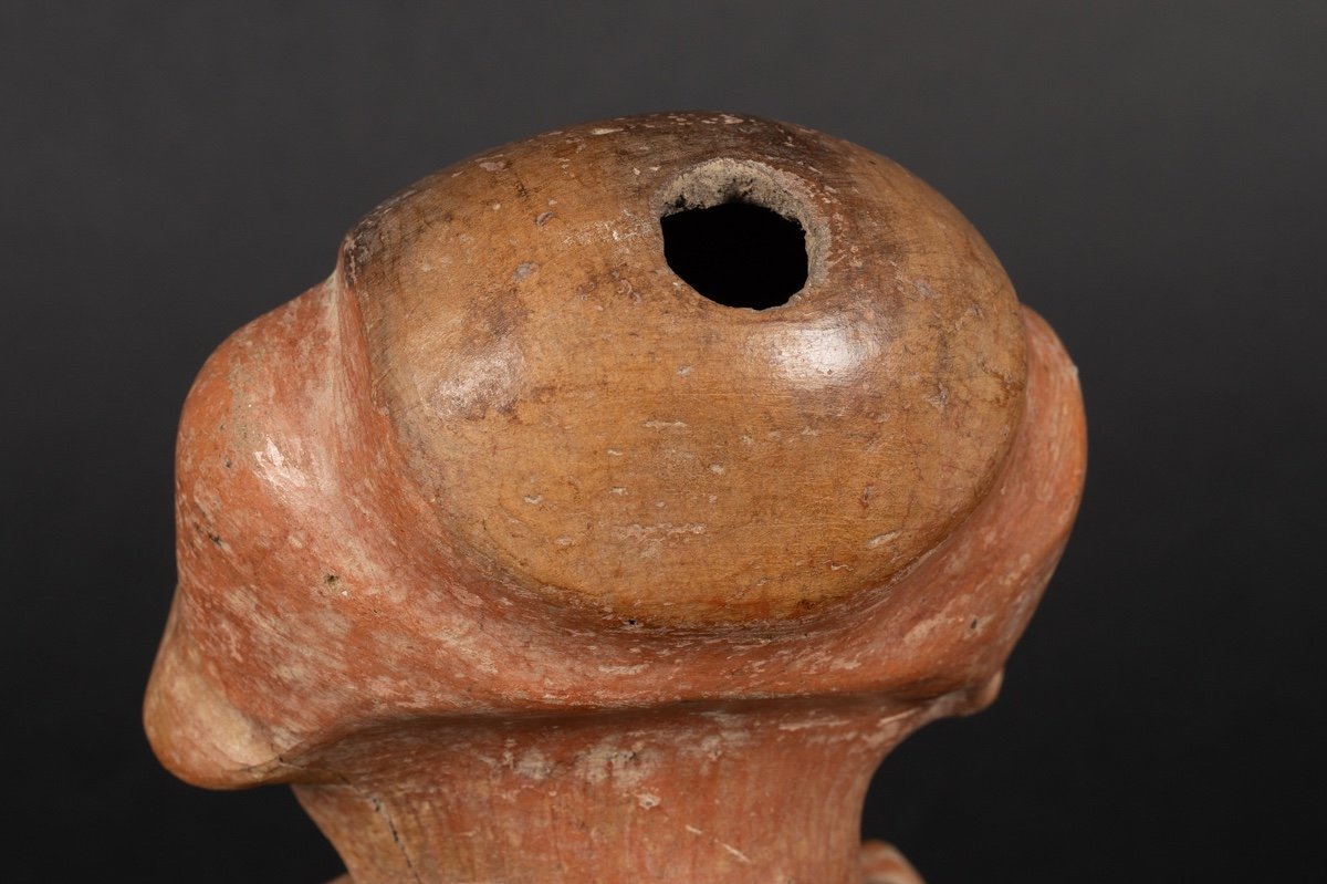 Figurative Vase, Chorrera Culture (1300 - 300 Bc), Ecuador, Pre-columbian Ceramics. -photo-6