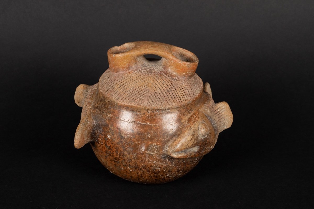 Bouteille à Poisson, Culture Chorrera (1300 - 300 Av. J.-c.), équateur, Céramique Précolombienn-photo-1