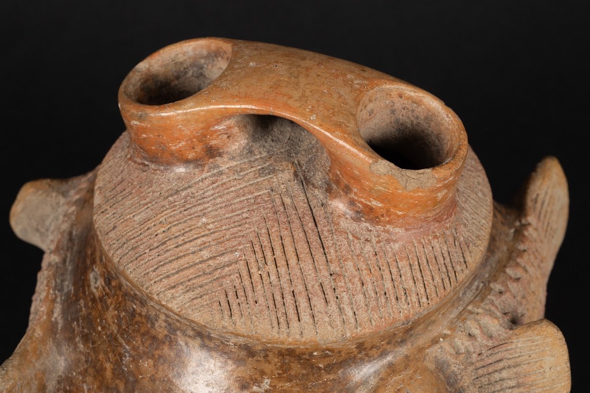 Bouteille à Poisson, Culture Chorrera (1300 - 300 Av. J.-c.), équateur, Céramique Précolombienn-photo-2