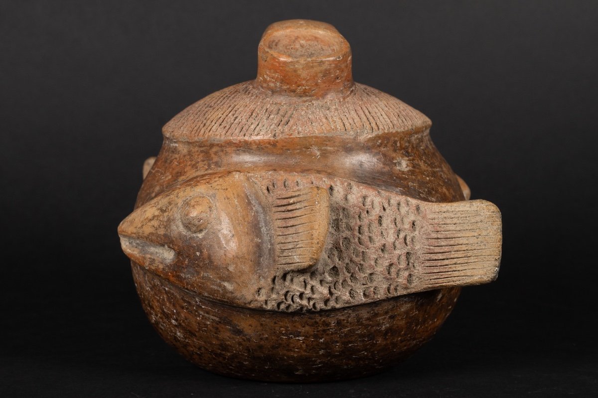 Bouteille à Poisson, Culture Chorrera (1300 - 300 Av. J.-c.), équateur, Céramique Précolombienn-photo-3