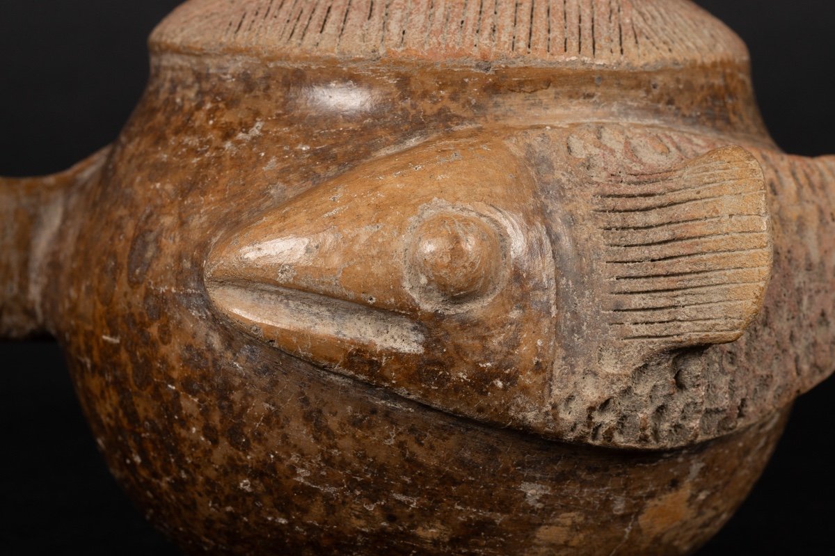 Bouteille à Poisson, Culture Chorrera (1300 - 300 Av. J.-c.), équateur, Céramique Précolombienn-photo-5