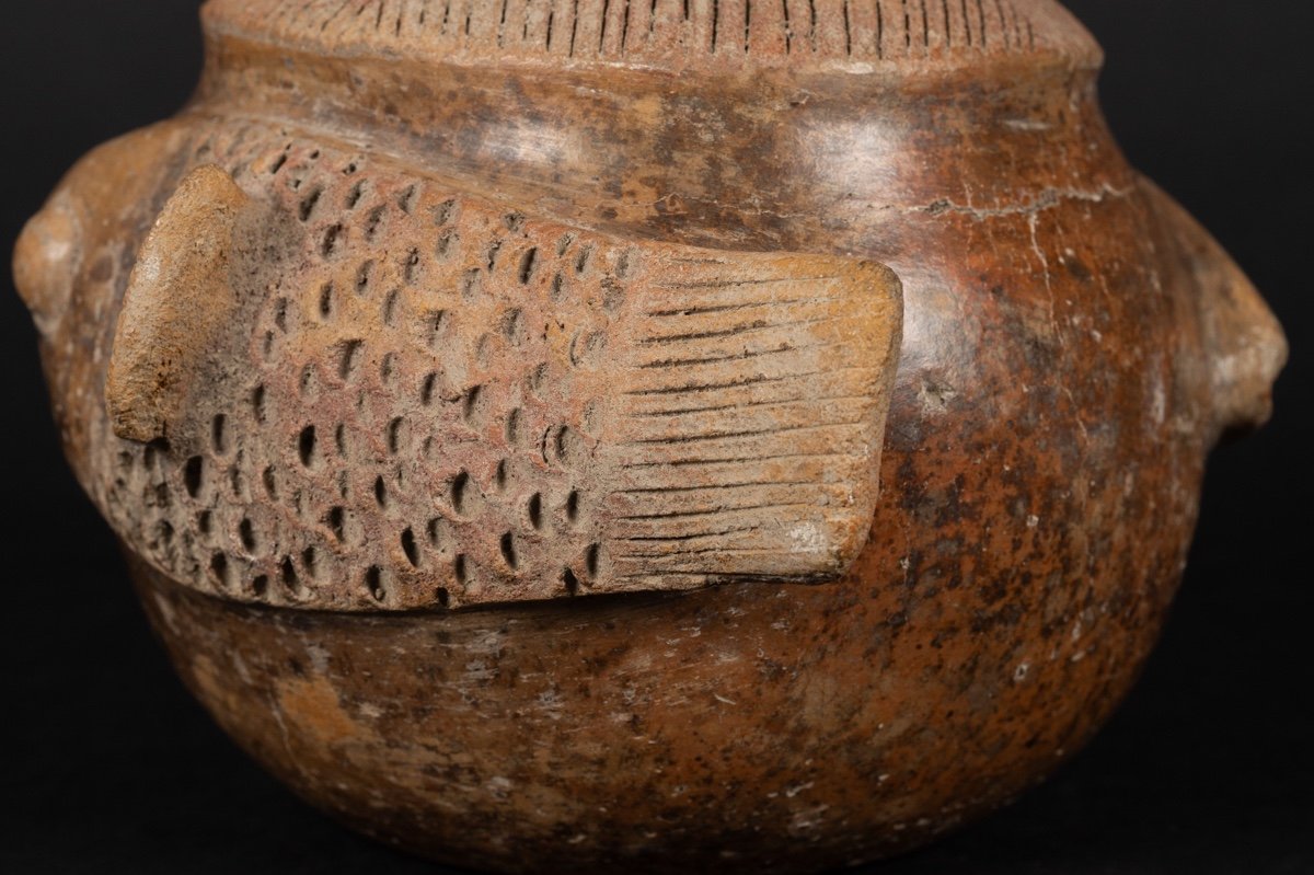 Bouteille à Poisson, Culture Chorrera (1300 - 300 Av. J.-c.), équateur, Céramique Précolombienn-photo-6