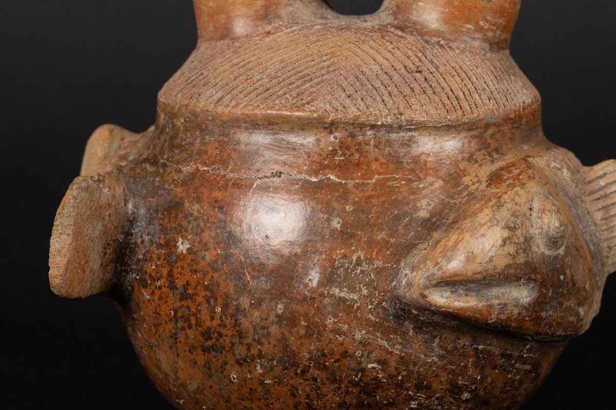 Bouteille à Poisson, Culture Chorrera (1300 - 300 Av. J.-c.), équateur, Céramique Précolombienn-photo-7