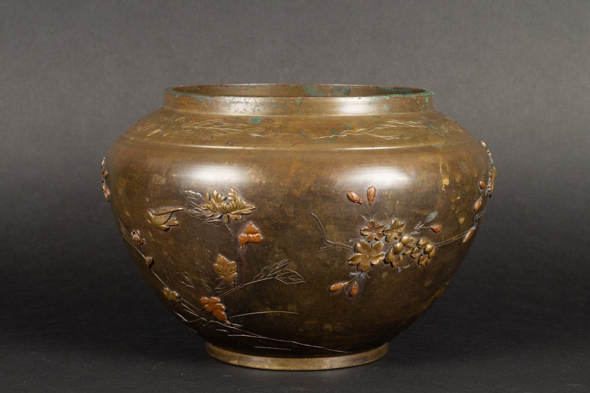 Cache Pot, Bronze, Japon, ère Meiji (1868-1912).  -photo-2