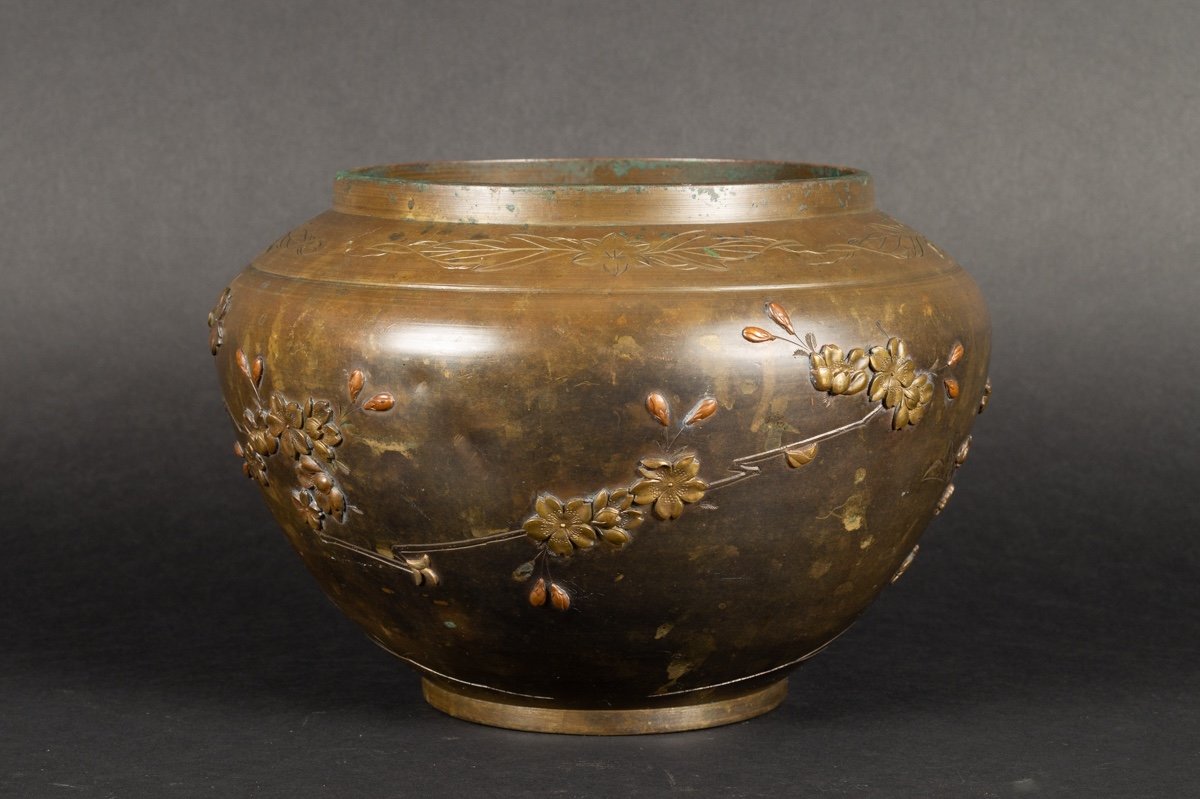 Cache Pot, Bronze, Japon, ère Meiji (1868-1912).  -photo-3