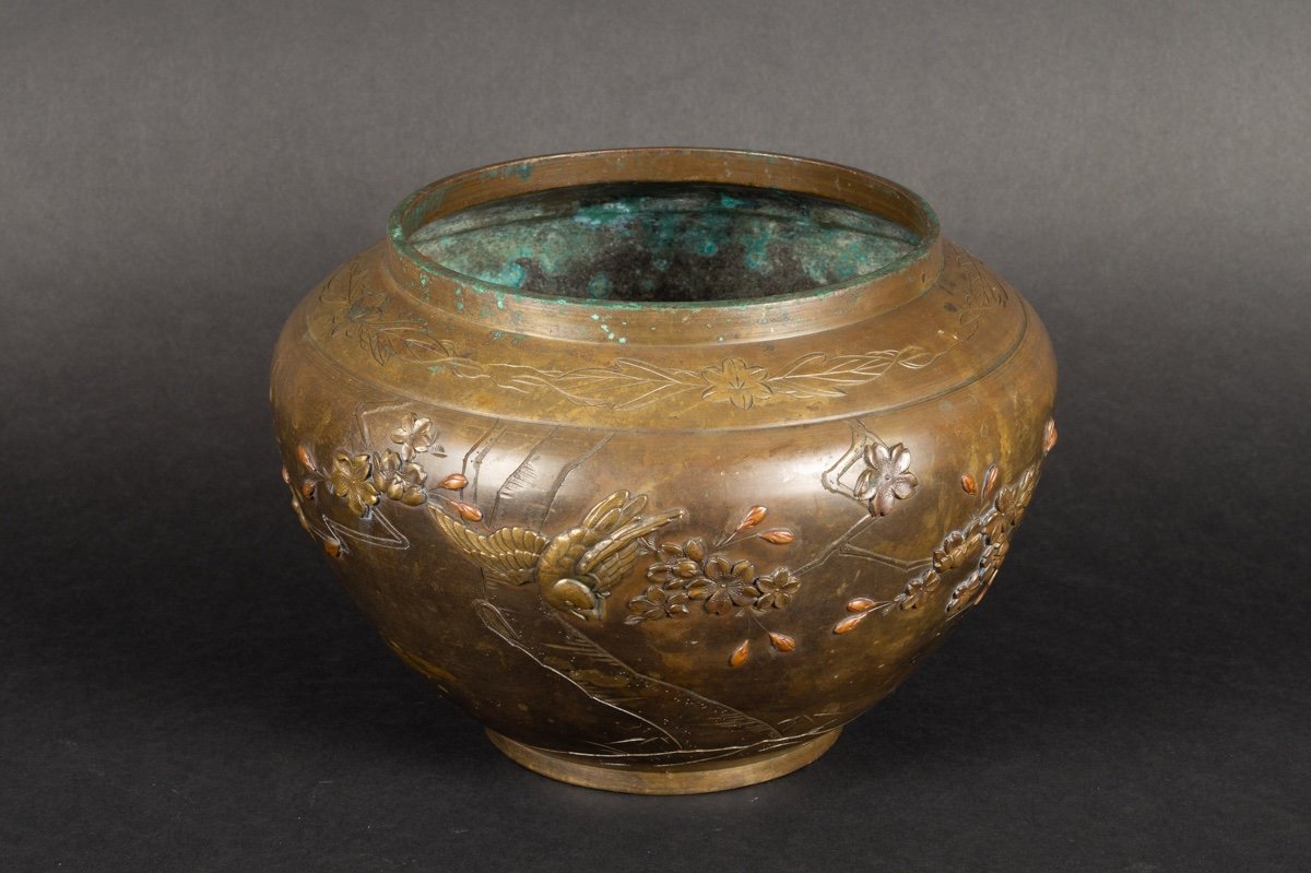 Cache Pot, Bronze, Japon, ère Meiji (1868-1912).  -photo-4