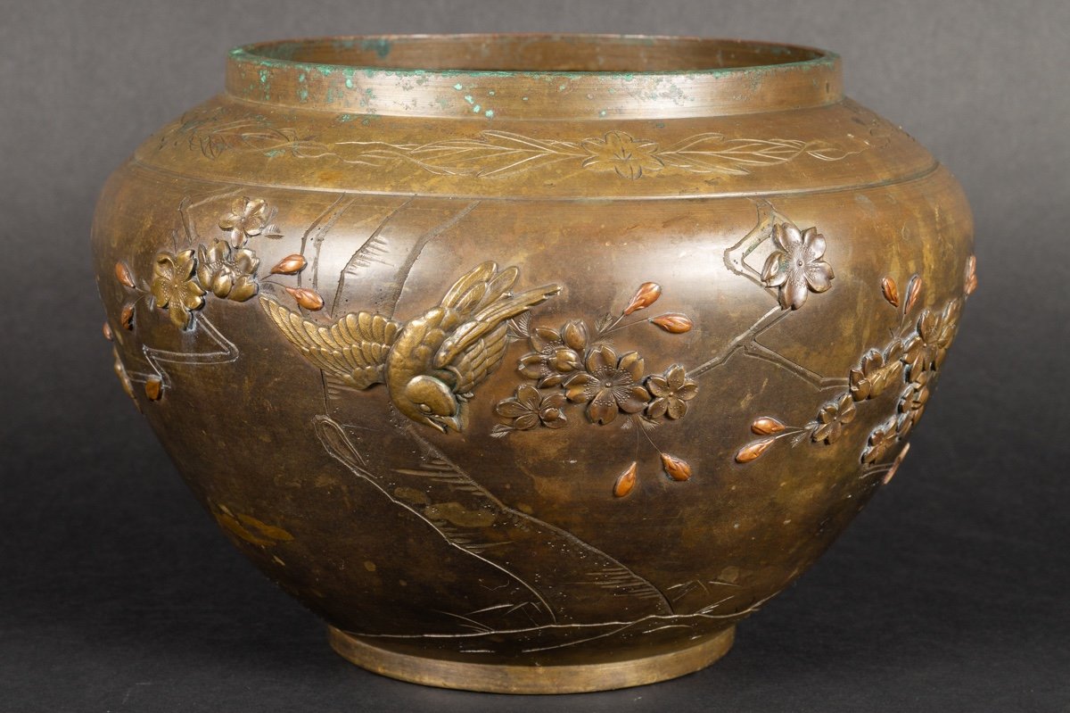 Cache Pot, Bronze, Japon, ère Meiji (1868-1912).  -photo-1