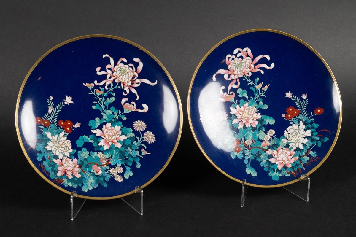 Paire d'Assiettes Cloisonnées, Japon, ère Meiji/taisho, Début. XXe S.-photo-2