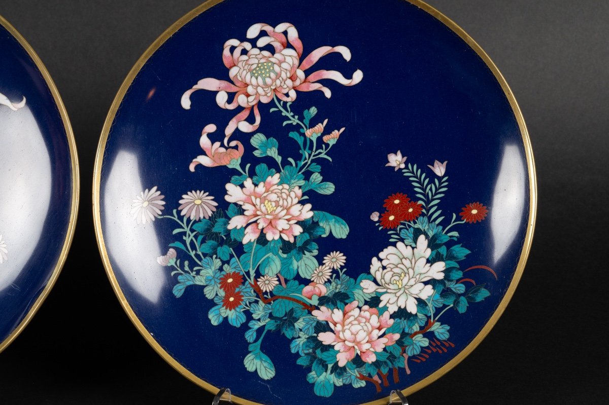 Pair Of Cloisonné Plates, Japan, Meiji/taisho Era, Early 20th Century.-photo-3