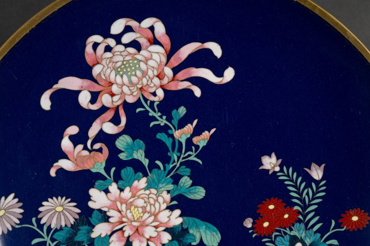 Paire d'Assiettes Cloisonnées, Japon, ère Meiji/taisho, Début. XXe S.-photo-4