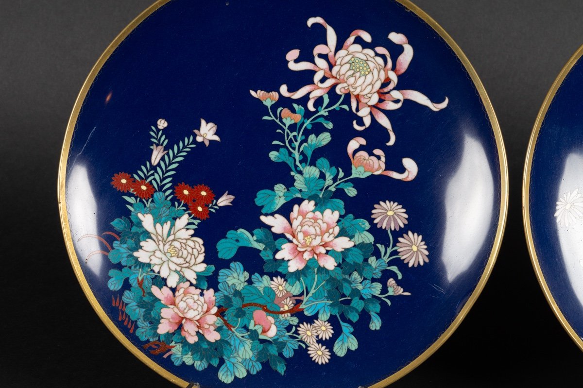 Paire d'Assiettes Cloisonnées, Japon, ère Meiji/taisho, Début. XXe S.-photo-2