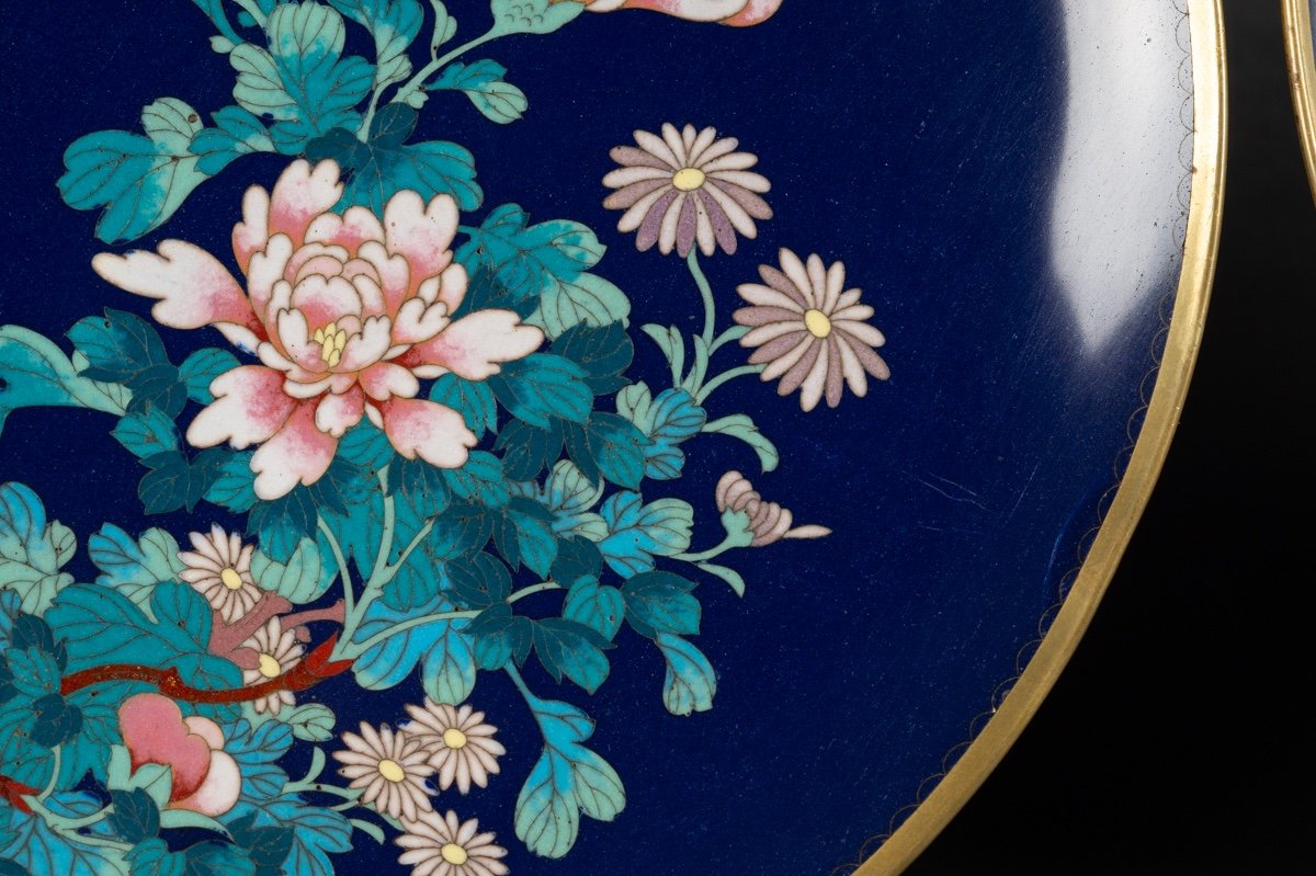 Paire d'Assiettes Cloisonnées, Japon, ère Meiji/taisho, Début. XXe S.-photo-4