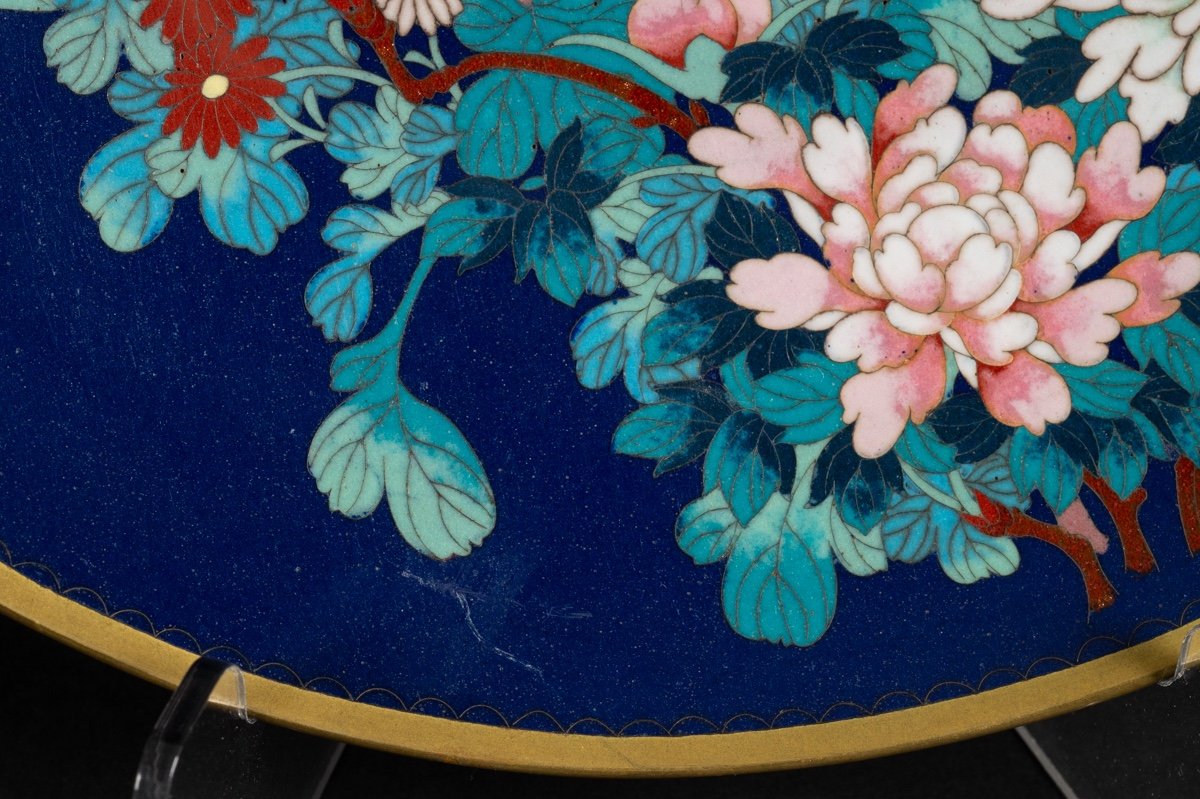 Pair Of Cloisonné Plates, Japan, Meiji/taisho Era, Early 20th Century.-photo-6